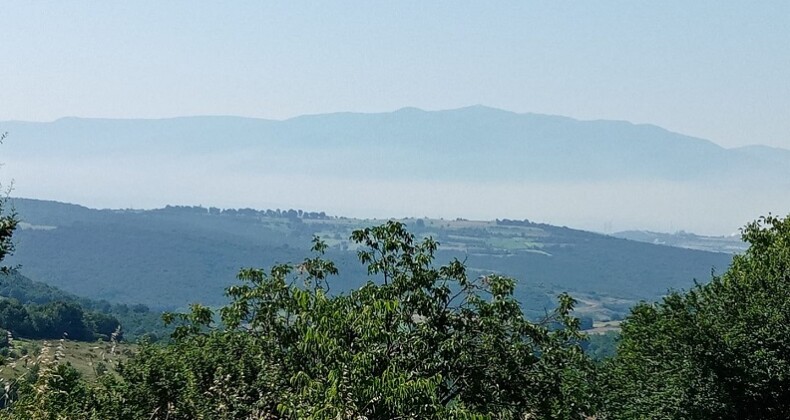 106294459_10158300450649360_6908653592286315478_n-790x420