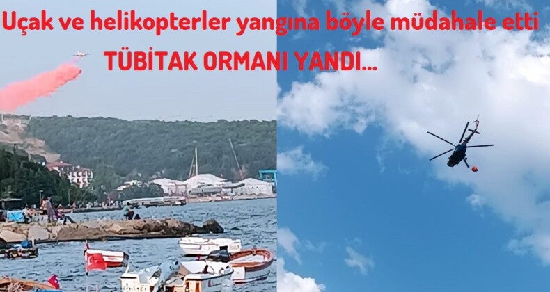 4a91b30a-9326-4f44-9dcd-d4e34f8bed28-790x420