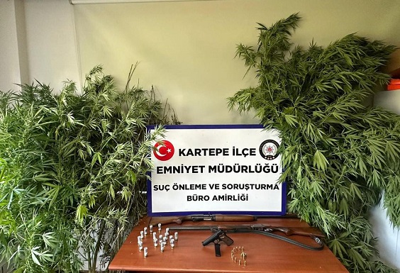 7774782e-dc1e-4d07-b00b-e642c3356ee3