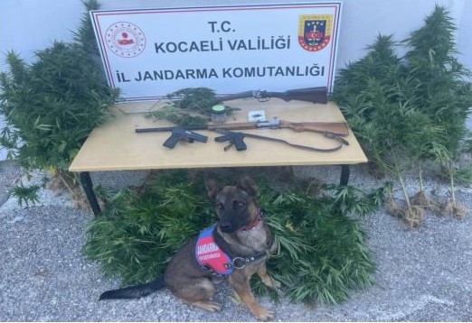 Ekran görüntüsü 2023-09-16 103605