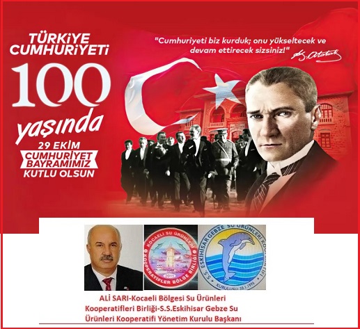 Ali Sarı