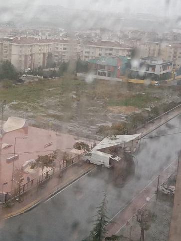 1aa21f29-62ac-4108-9bbe-ef6febb16250