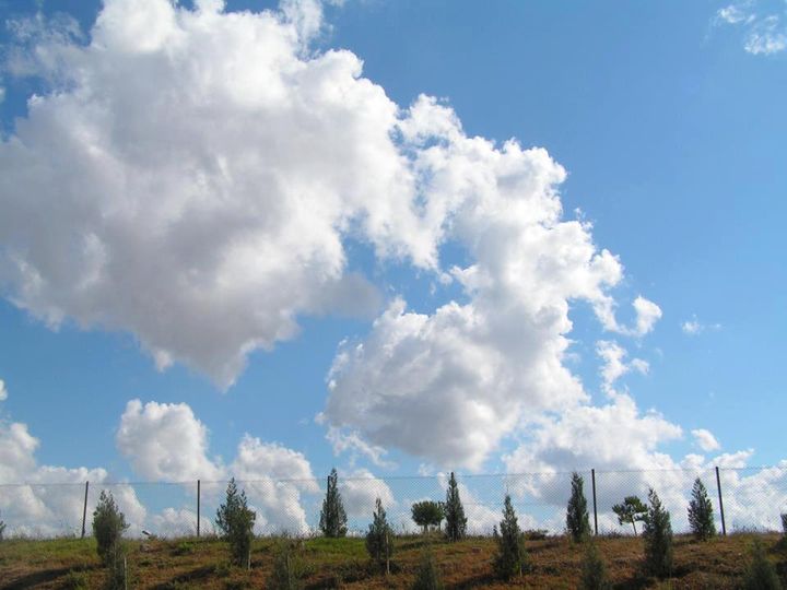 554352_10151161900694360_1903755194_n