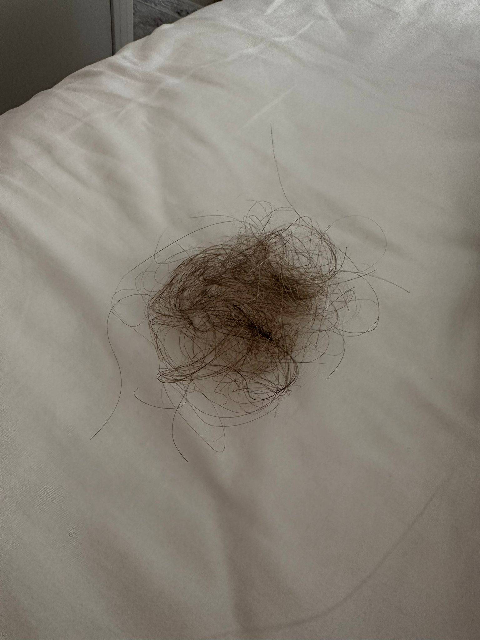 Doktor Saçlarından Sürüklenerek Darp Edildi !