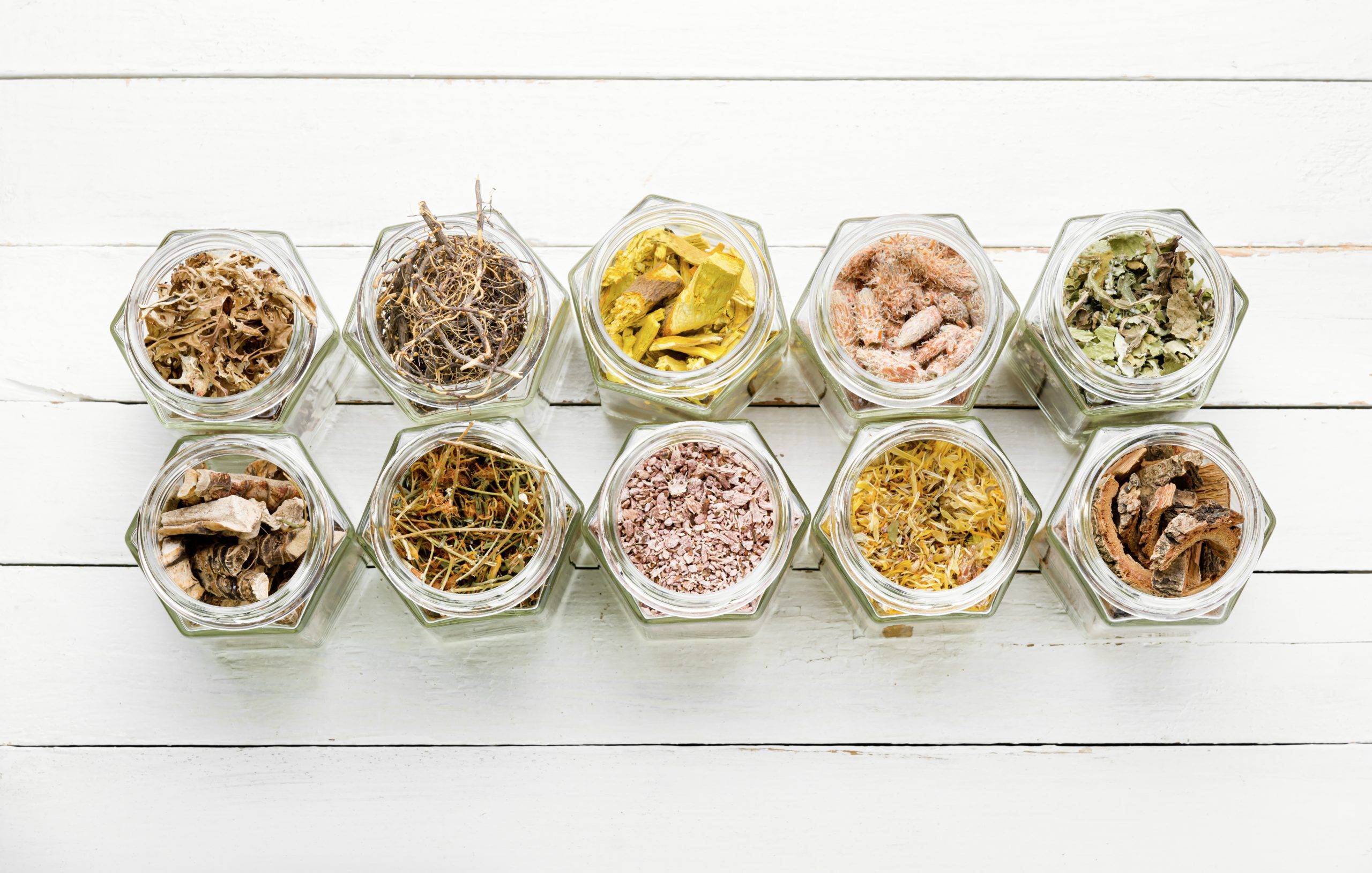 İlaç – Bitki Etkileşimine En Çok Neden Olan Bitkiler 