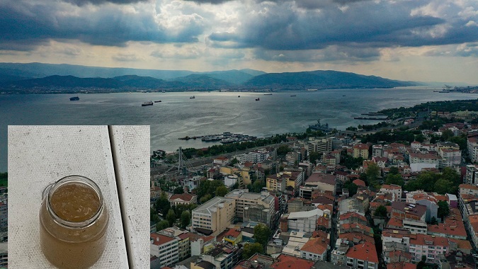 thumbnail_İzmit Körfezi'ndeki kırmızılık mevsimsel geçişten kaynaklanıyor (1)