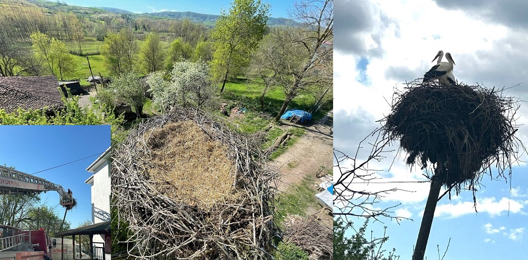 thumbnail_Büyükşehir, leyleklerin yuvasını yıkılmaktan kurtardı (1)