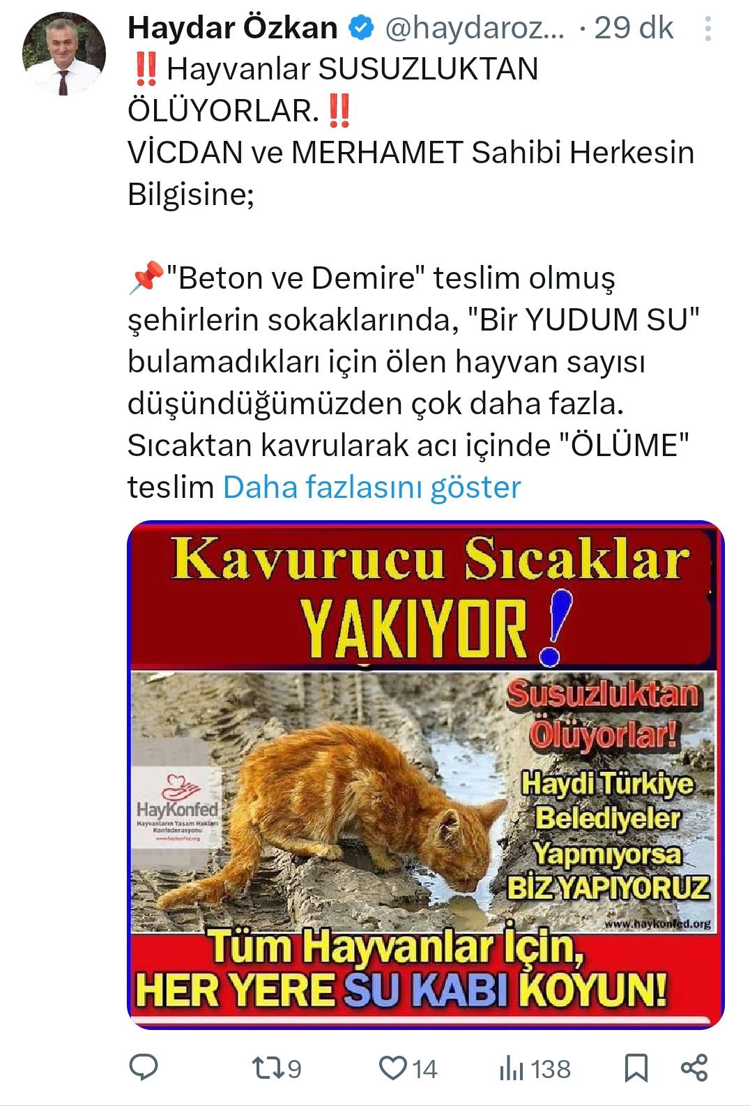 HAYKONFED’den Sokak Hayvanlarına Su Verin Çağrısı!