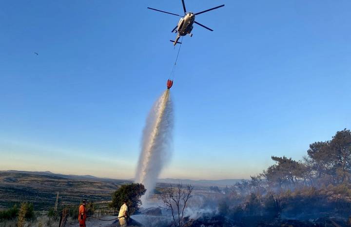 17 İlde Orman Arazileri Orman Vasfından Çıkarıldı! 