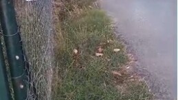 Yağcılar köyü sakinleri yola hız kesici istiyor!