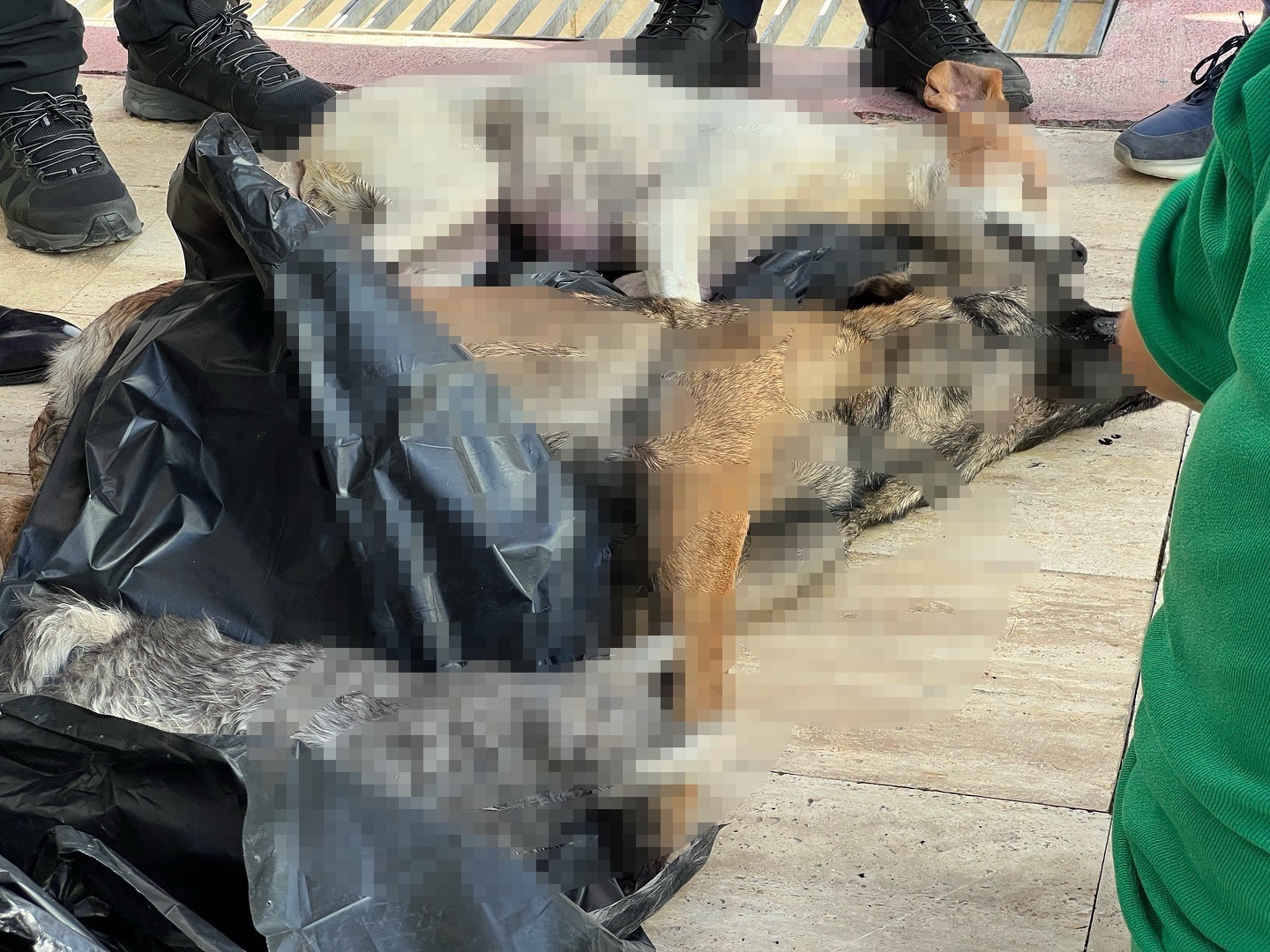 d24ca964-ed19-40e7-a560-e381bfa7abae