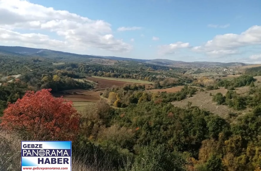 55786433-d51e-4c0f-a70c-889b8840b405