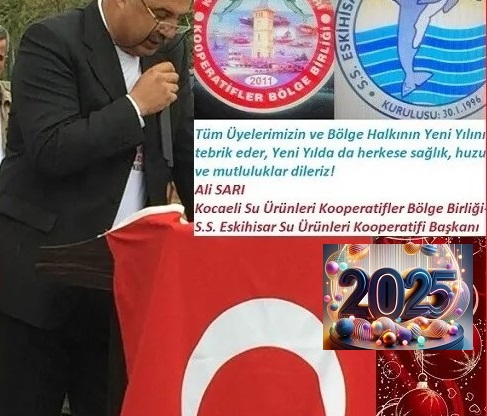 Ali Sarı
