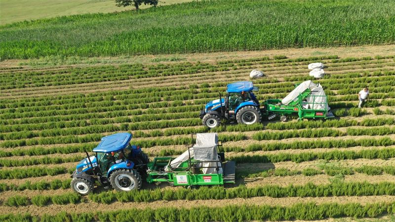 Topraktan_kopmayın_(1)_800_600