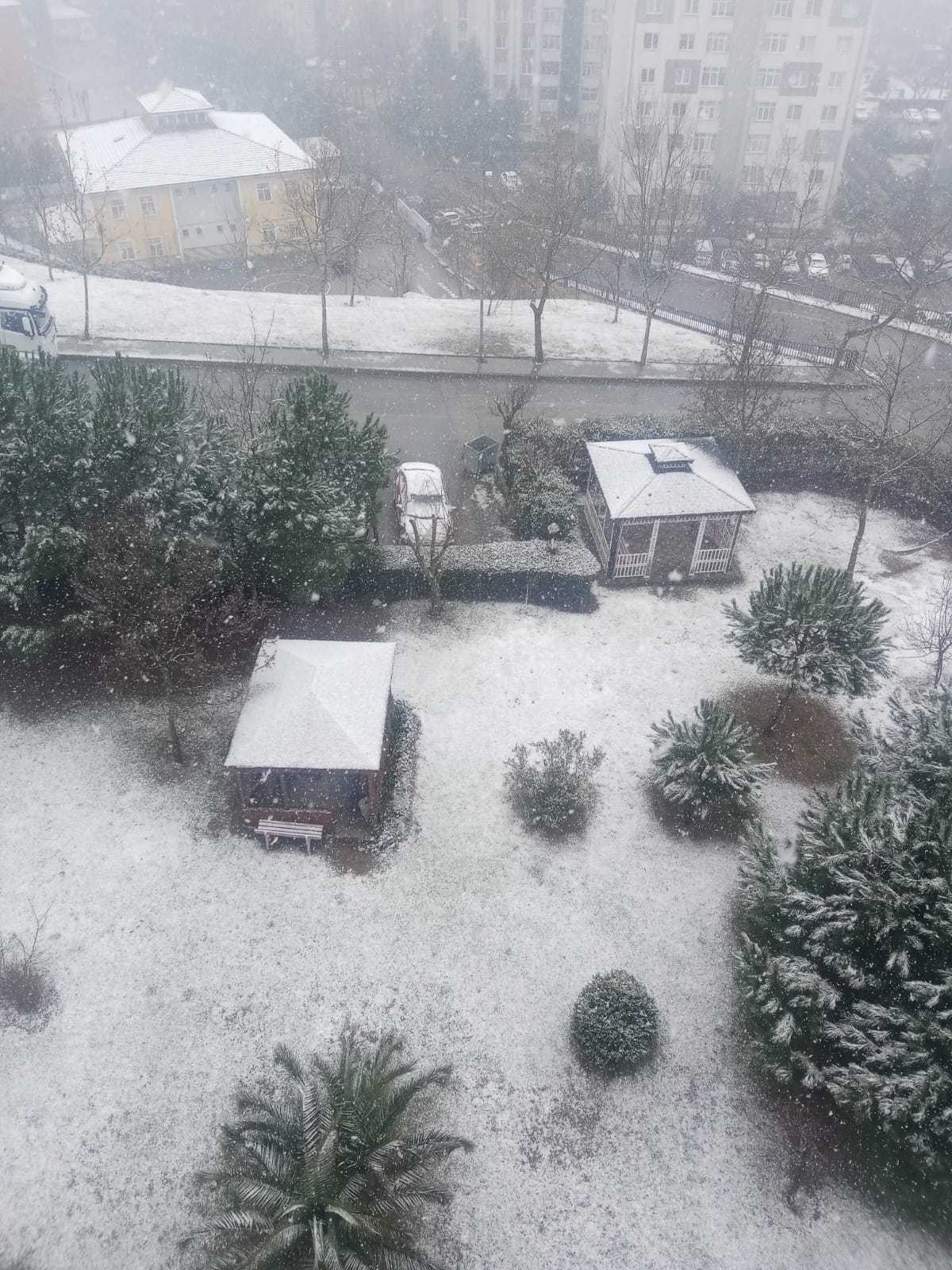 13915c97-cd15-48e9-befa-1f71cf442c2e