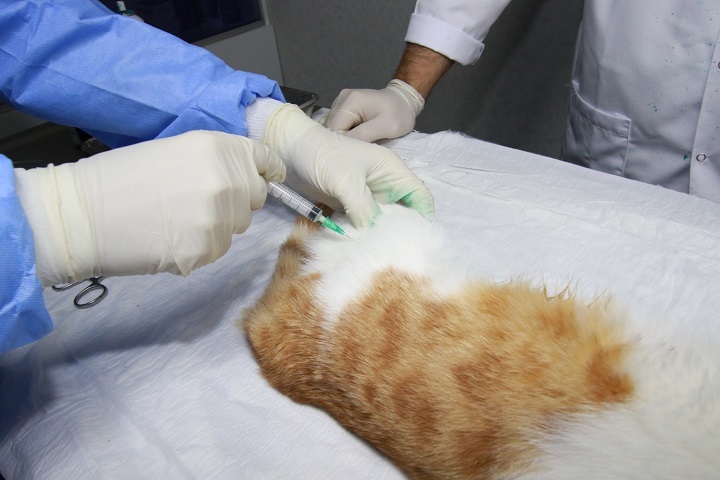 thumbnail_Can dostlarımıza yerinde hizmet (1)