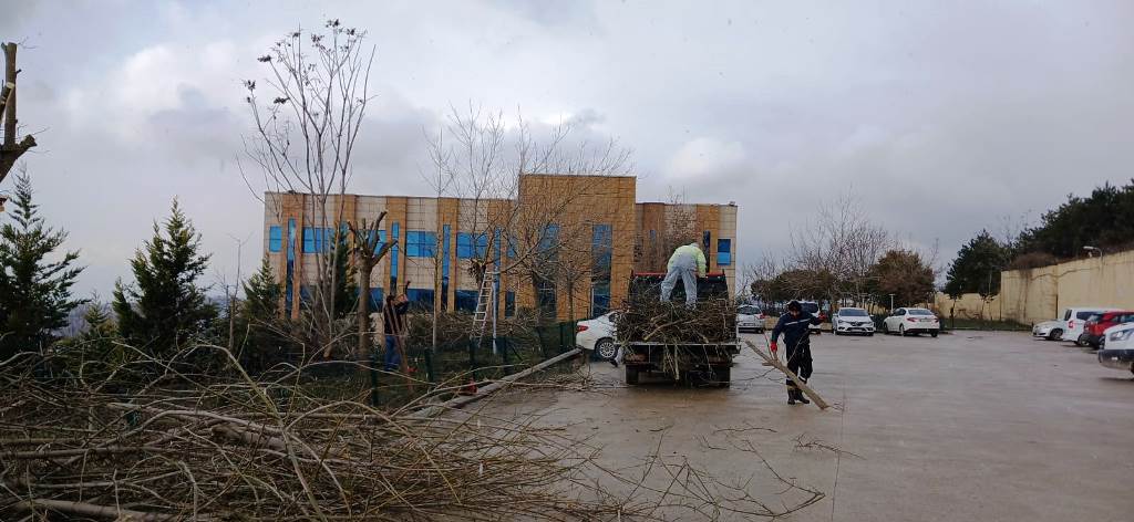 thumbnail_Dilovası Devlet Hastanesi'nde Ağaç Budama (1)