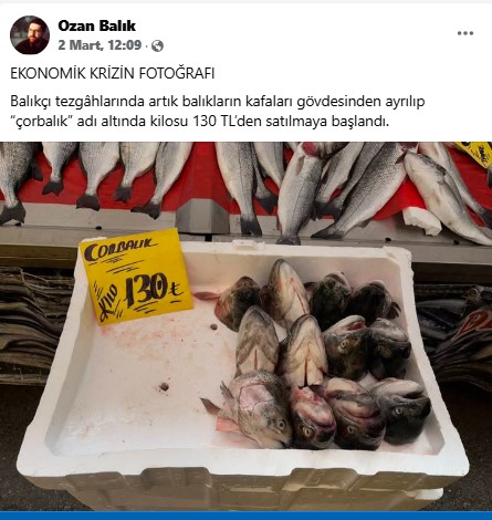 OBJEKTİFE TAKILANLAR
