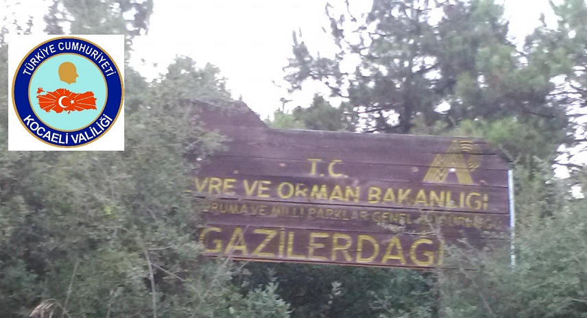 42300486_10156573271029360_4817994411713495040_n