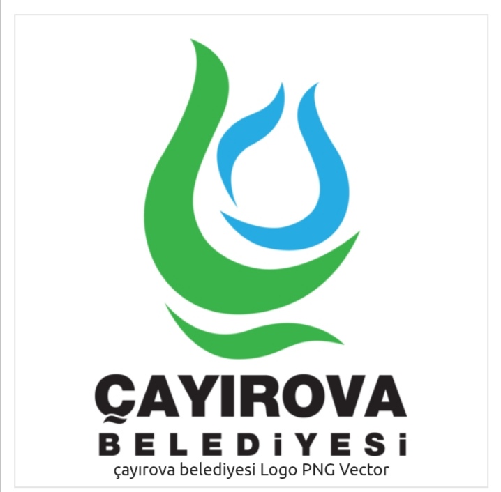 Screenshot_20250512_175328