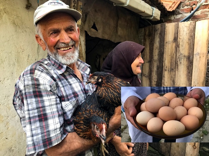 Üreticiye yüzde 50 hibeli yumurta tavuğu desteği (1)