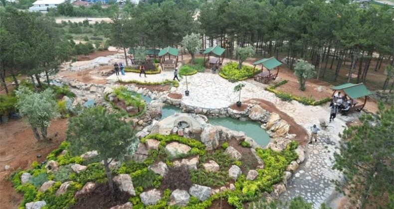 Pelitli Damga Tepe Mesire Alanında Çalışmalar Tam Gaz!