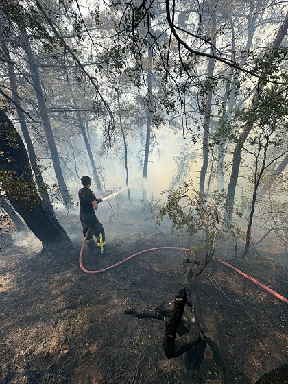 Karamürsel'de soğutma çalışmaları devam ediyor (8)