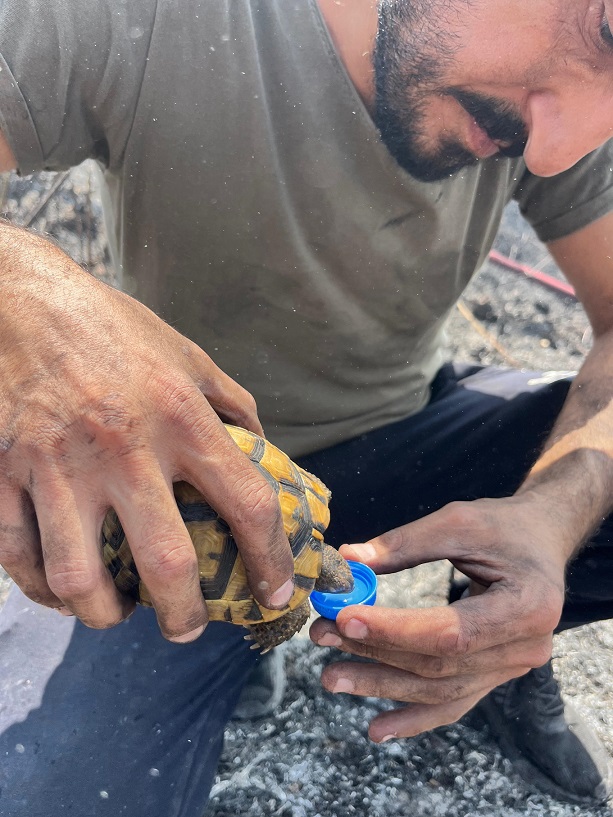 Alevlerin ortasında bir damla hayat (2)