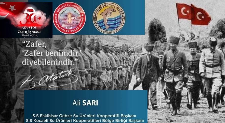 Ali Sarı