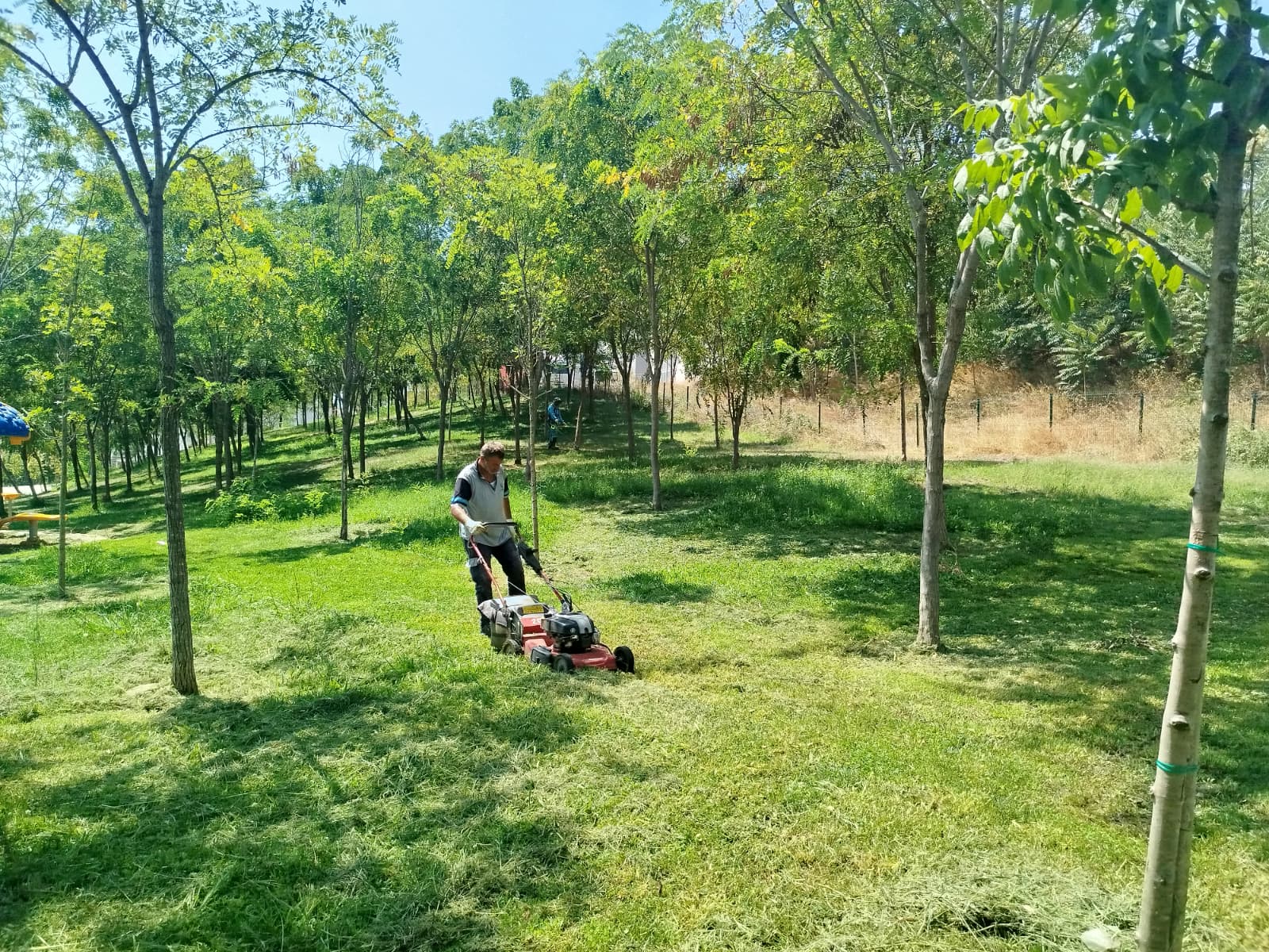 Gebze Tatlıkuyu Vadisi Kent Parkı'na düzenli bakım (2)