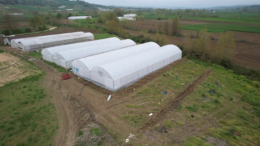 thumbnail_Büyükşehir'den çiftçilere modern sera desteği (2)