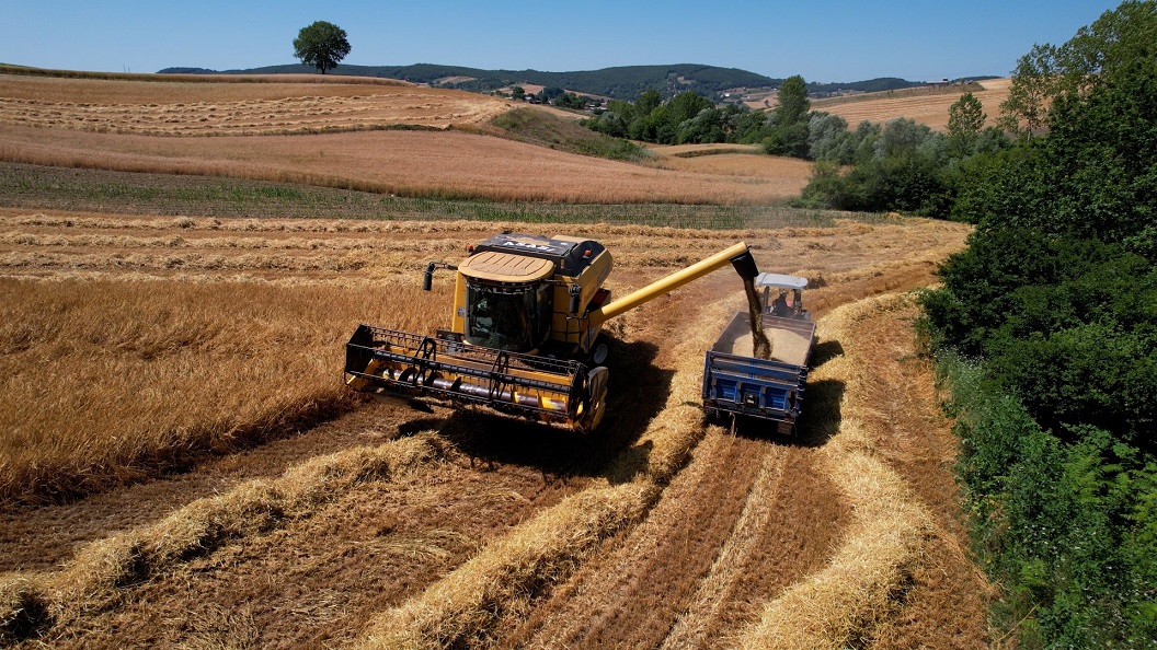 Büyükşehir'den çiftçiye yüzde 75 hibeli tohum desteği (1) (Büyük)