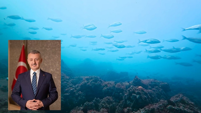 thumbnail_İzmit Körfezi'nde muhteşem görüntüler (1)