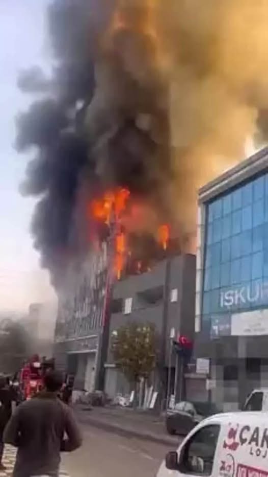 578811419_3770883596551519_4928189449643507616_n