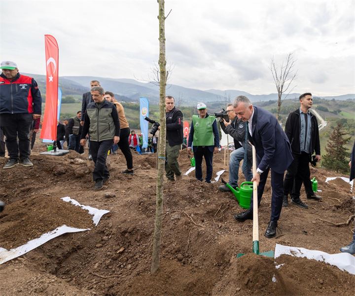 Karamürsel'de_yanan_bölge_3_bin_fidanla_yeniden_yeşerecek_(1)_800_600