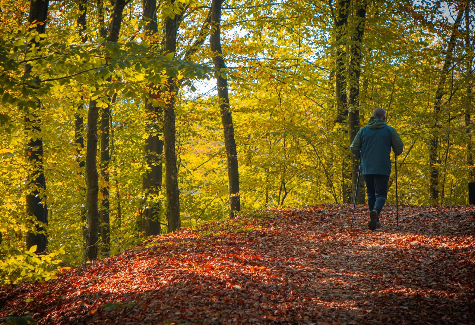 Sonbahar, huzurun adresi Ormanya'da bir başka (15) (Large)