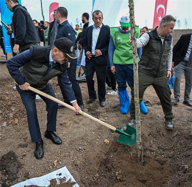 WhatsApp_Image_2025_11_11_at_13.05.44_800_600