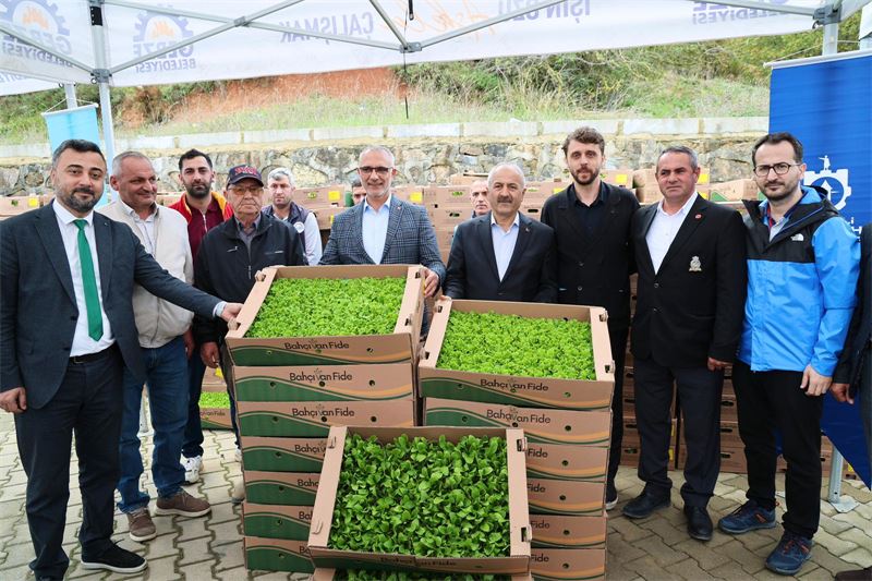 kadıllı_3_800_600