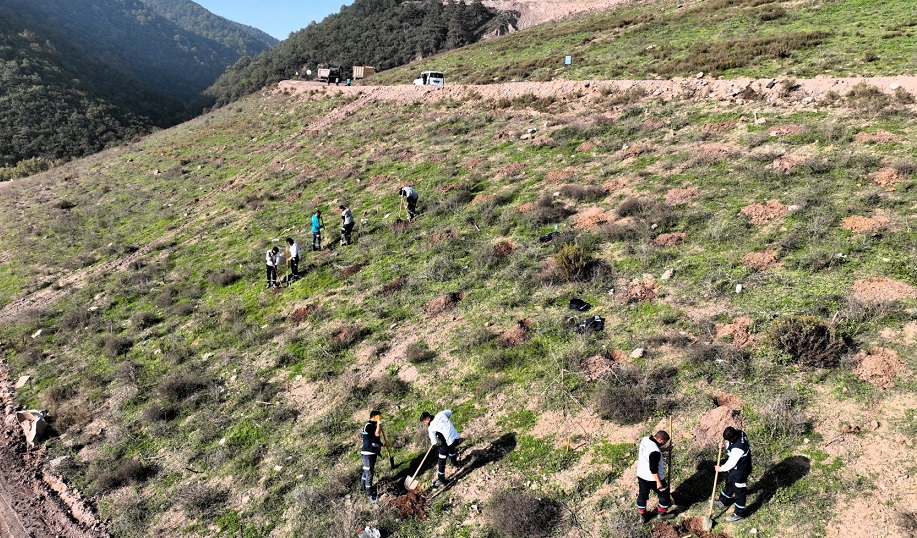 thumbnail_Büyükşehir'in dokunuşlarıyla Kocaeli yeşile doyuyor (4) (Büyük)