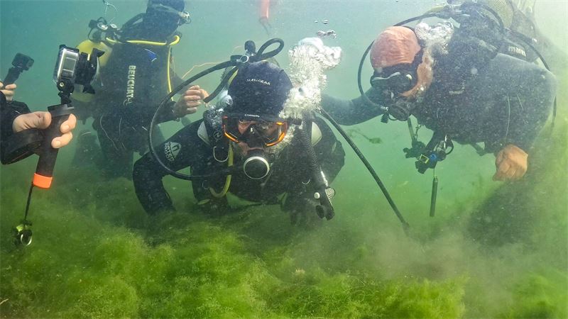 thumbnail_Dipten_dirilişe_canlı_tanıklık_(11)_(Büyük)_800_600