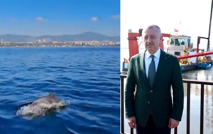 thumbnail_Temizlenen İzmit Körfezi'nde artık yunuslar dans ediyo (4)