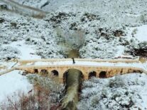 138357121_262047448612395_8975612752516962727_n