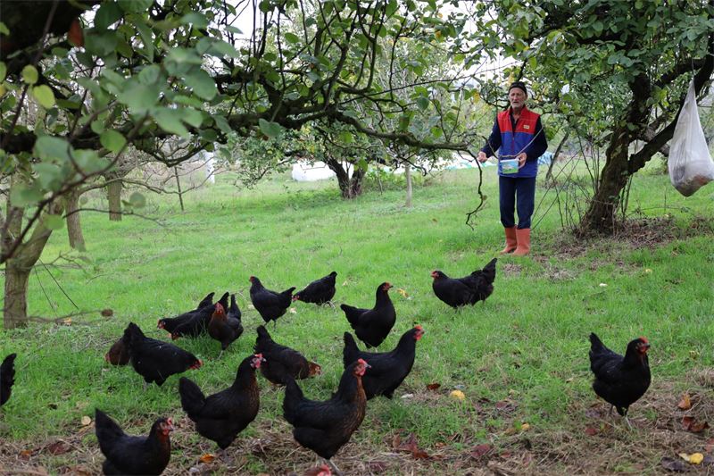 Kırsalda_geçim_kapısı_güçleniyor,_istihdam_artıyor___(1)_800_600