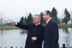 98dcad46-f0b5-4da4-a147-f3ac35fec2e2