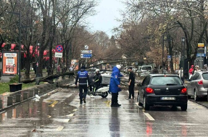 Büyükşehir, şiddetli lodosa karşı teyakkuzda (19)