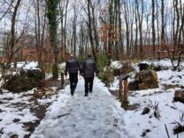 Zabıta, Kocaeli'nin her noktasında görev başında (5)