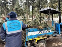 Görsel açıklaması bulunamadı