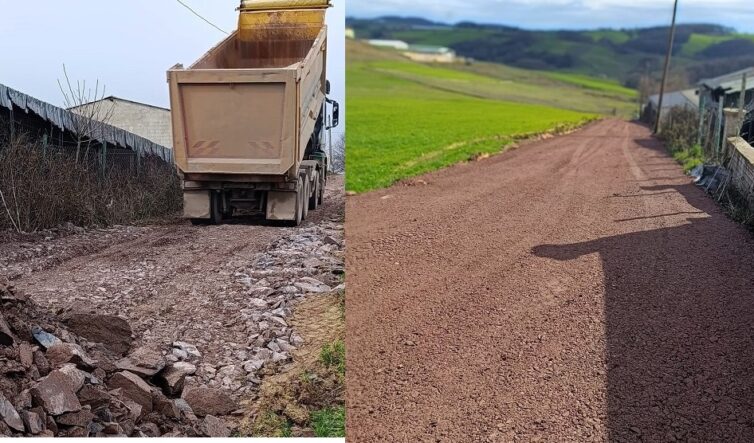 3c588481-5172-427d-8f0f-ac0ff3ed2f44