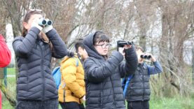 Doğanın en zarif misafirleri hayran bıraktı  (10)