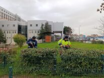 ff3b097f-cb67-43d9-8a1c-dd5b6ed401e9